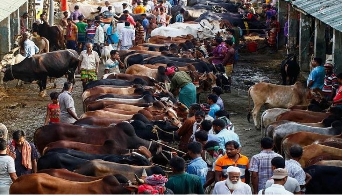 পশুর দাম নিয়ে পালটাপালটি অভিযোগ ক্রেতা-বিক্রেতার