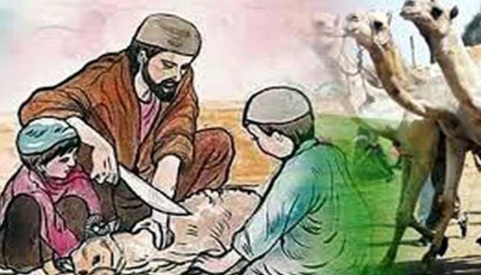 যেসব পশু দিয়ে কোরবানি করা জায়েজ