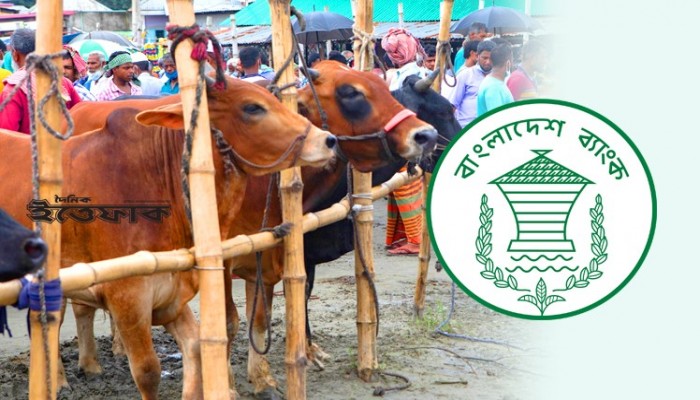 গরুর হাটের পাশের ব্যাংক আজও খোলা থাকবে
