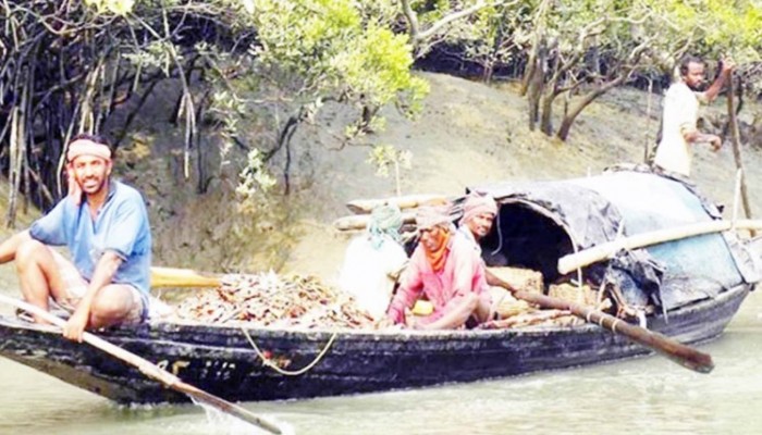 ঈদ আনন্দ নেই বনজীবী ও গারো পাহাড়ে