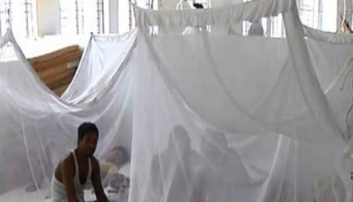 আরও ৮৫ ডেঙ্গু রোগী হাসপাতালে ভর্তি