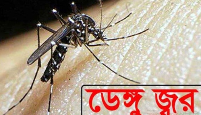 ২৪ ঘণ্টায় রেকর্ড ১০৫ ডেঙ্গু রোগী শনাক্ত