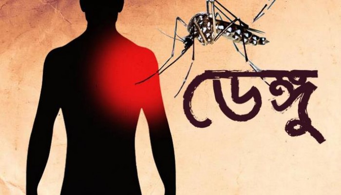 ডেঙ্গু আক্রান্ত হয়ে ২৪ ঘণ্টায় ২৬৪ জন হাসপাতালে ভর্তি