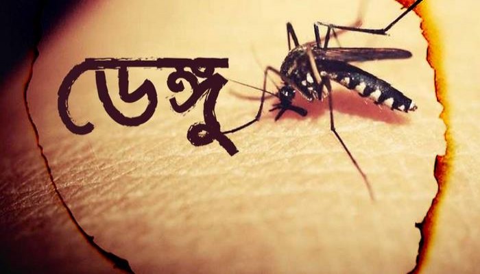 ২৪ ঘণ্টায় ডেঙ্গু আক্রান্ত হয়ে ২৩৭ জন হাসপাতালে