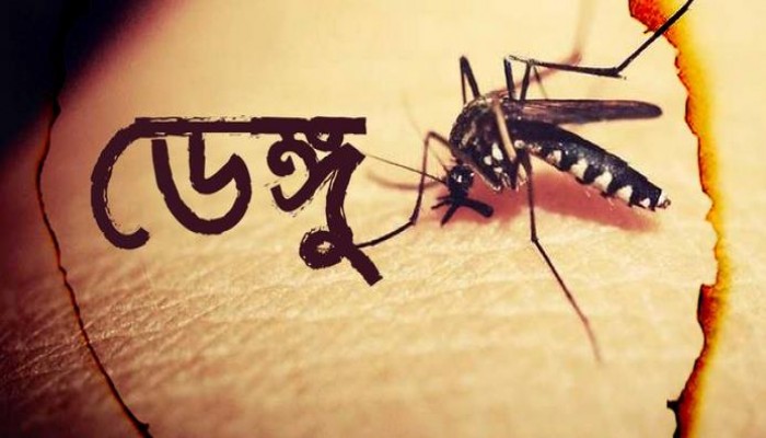 ডেঙ্গু আক্রান্ত হয়ে ২৪ ঘণ্টায় আরও ২২৪ জন হাসপাতালে ভর্তি