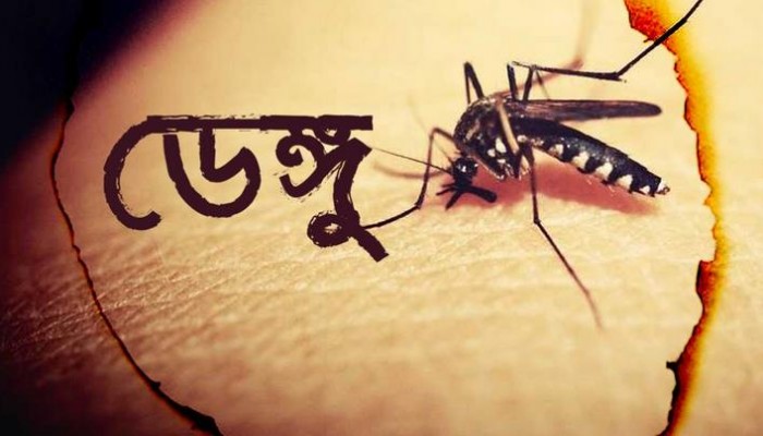 গত ২৪ ঘণ্টায় ২২৬ ডেঙ্গু রোগী হাসপাতালে ভর্তি