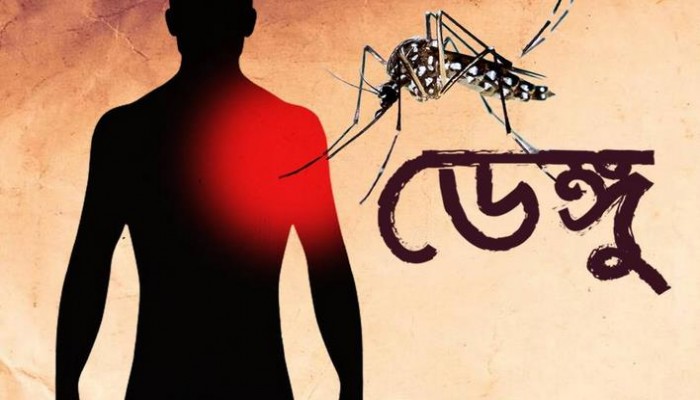 ডেঙ্গু আক্রান্ত হয়ে ২৪ ঘণ্টায় আরও ২১১ জন হাসপাতালে