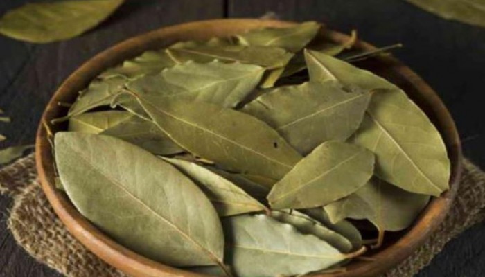 ত্বক ও চুলের জন্য তেজপাতা কতটা উপকারী জানেন কি?