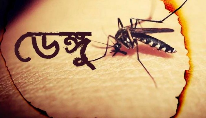 ২৪ ঘণ্টায় ২৫৭ রোগী হাসপাতালে, রাজধানীর বাইরেও বাড়ছে