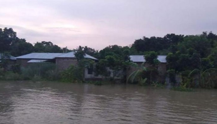 লালপুরে পদ্মায় পানি বৃদ্ধি, বন্দী পাঁচশত পরিবার