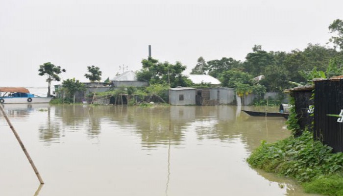 রাজবাড়ীতে পদ্মার তিন পয়েন্টে পানি বিপৎসীমার ওপরে