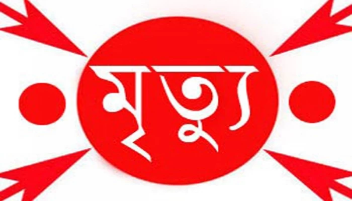 নাটোরে গলায় ফাঁস লেগে শিশুর মৃত্যু