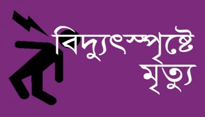 নাটোরে বিদ্যুতায়িত হয়ে খামারির মৃত্যু