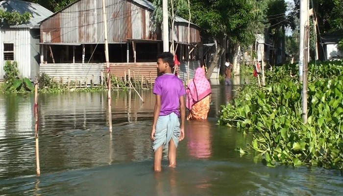 বাড়ছে যমুনার পানি, পানিবন্দি হাজার হাজার মানুষ