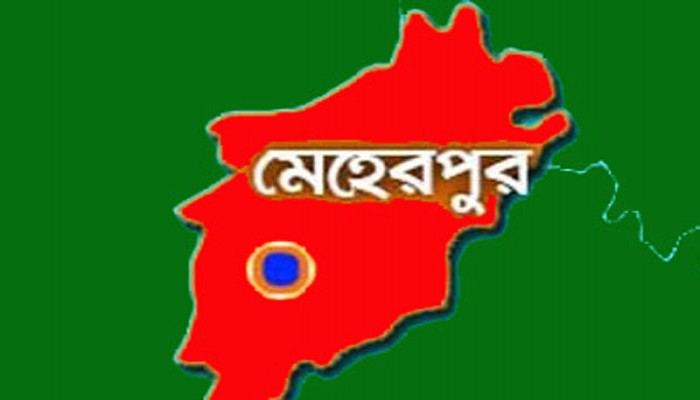 মেহেরপুরে সড়ক দুর্ঘটনায় শিশু নিহত