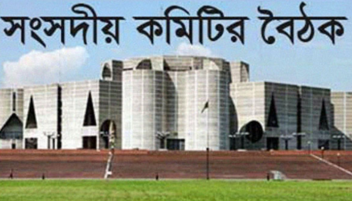 এমপিদের অগ্রাধিকার ভিত্তিতে অস্ত্রের লাইসেন্স দেওয়ার সুপারিশ