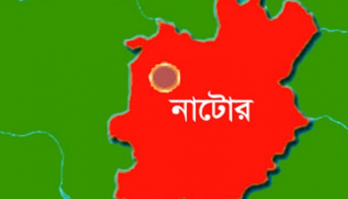 নাটোরে পানিতে ডুবে দুই শিশুর মৃত্যু
