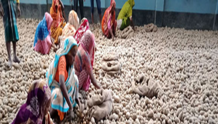 আলু দর পতন, বিদেশে রপ্তানির দাবি ব্যবসায়ীদের