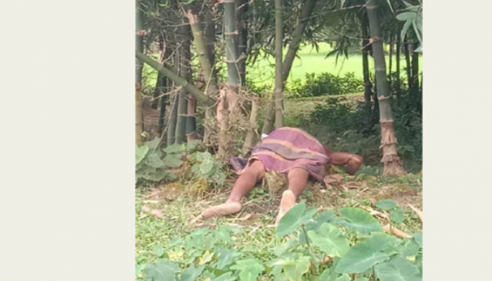 নেত্রকোনায় বাঁশের ঝাড়ে বিদ্যুৎস্পৃষ্টে কৃষকের মৃত্যু