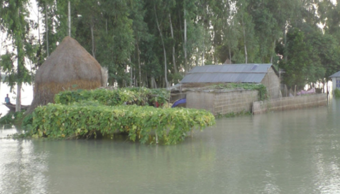 কুড়িগ্রামে ৭০ হাজার বানভাসির দুর্ভোগ চরমে