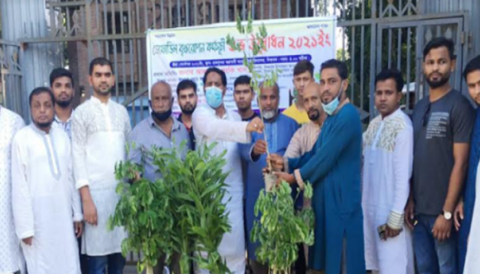 বিশ্বনাথে বৃক্ষরোপণ কর্মসূচির উদ্বোধন