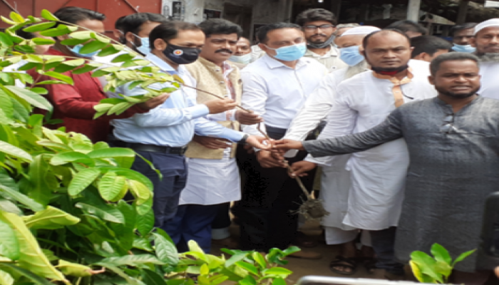 ময়মনসিংহে বঙ্গবন্ধু ফাউন্ডেশনের উদ্যোগে ৫০০০ চারা বিতরণ