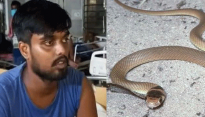 ইউটিউব দেখে সাপ ধরতে গিয়ে হাসপাতালে যুবক