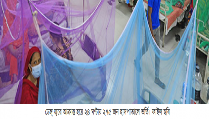 চলতি বছর হাসপাতালে ভর্তি ডেঙ্গু রোগী ১২ হাজার ছাড়াল ২৪ ঘণ্টায় ২৭৫ জন হাসপাতালে