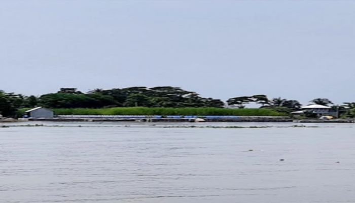 শরীয়তপুরে বন্যার পানিতে ফসলের ব্যাপক ক্ষতি