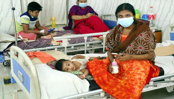 ২৪ ঘণ্টা ২৫৭ ডেঙ্গুরোগী হাসপাতালে ভর্তি