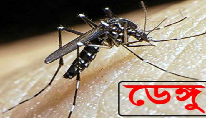 বোয়ালমারীতে ডেঙ্গুতে আক্রান্ত হয়ে একজনের মৃত্যু