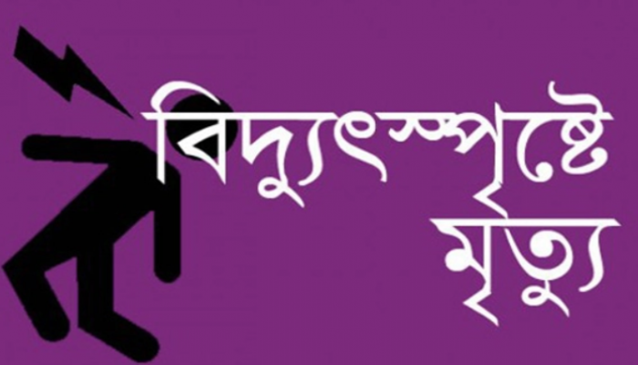 হবিগঞ্জে বিদ্যুতায়িত হয়ে ২ রিকশাচালকের মৃত্যু