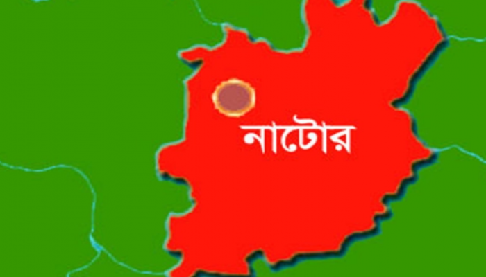 এক গ্রামের ৪ বাড়িতে গরু চুরি!