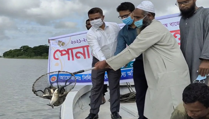 পটুয়াখালীর লাউকাঠী-লোহালিয়া নদীতে মাছের পোনা অবমুক্ত