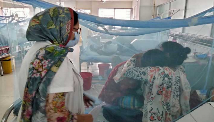 ডেঙ্গু আক্রান্ত হয়ে আরও ৩২১ জন হাসপাতালে
