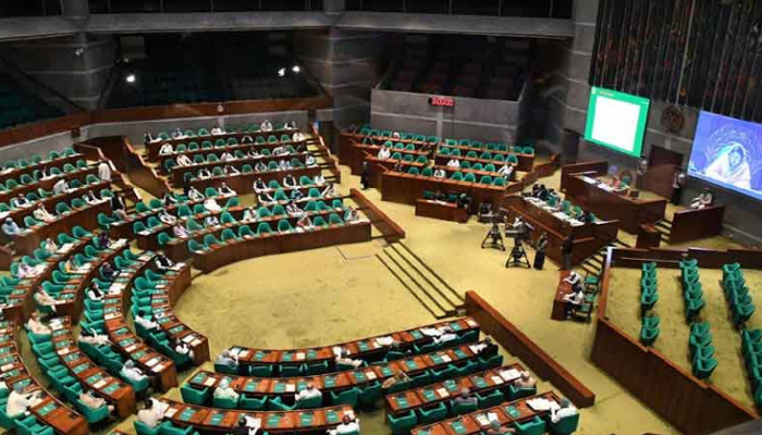 সংসদে বিদ্যুৎ, জ্বালানি দ্রুত সরবরাহ বিল পাস