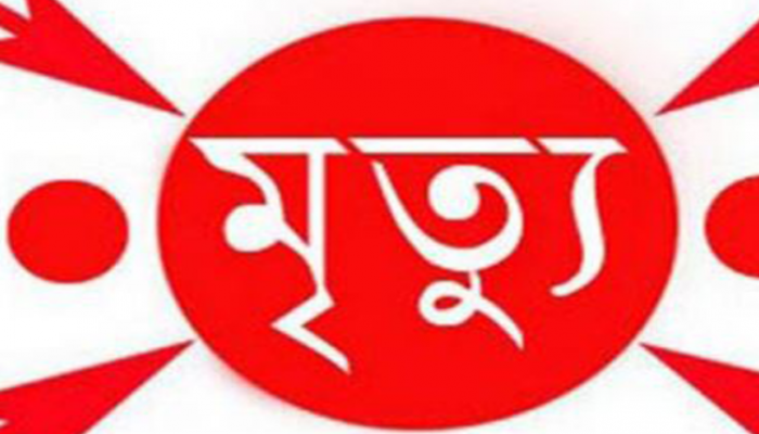 শালিসে জরিমানার ৩০ হাজার টাকা নিয়ে বিরোধে কুপিয়ে হত্যা