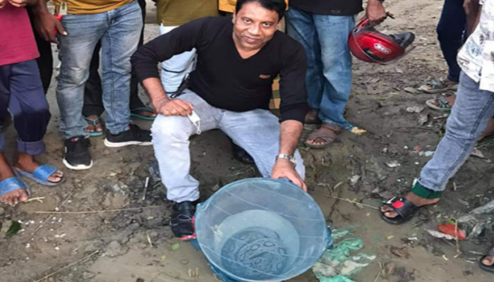 জেলের জালে বিলুপ্তপ্রায় বিষধর রাসেল ভাইপার সাপ