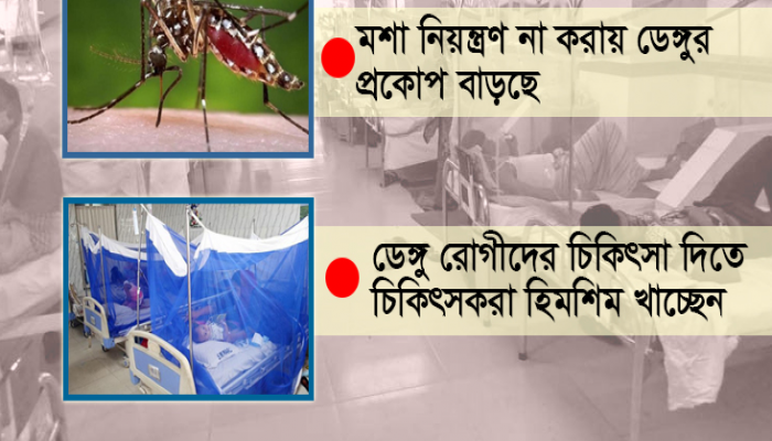 কেন বাড়ছে ডেঙ্গুর প্রকোপ