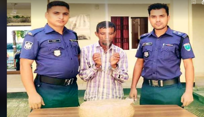 গোয়াইনঘাটে পুলিশের অভিযানে গাঁজাসহ গ্রেফতার ১।