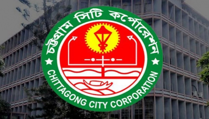 আওয়ামী লীগের ২০ প্রার্থীর বিপরীতে বিএনপির এক!