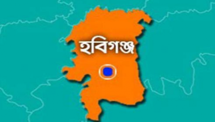 জমি নিয়ে বিরোধ: বড় ভাইদের হামলায় ছোট ভাইয়ের মৃত্যু