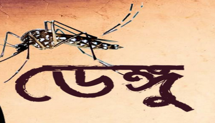 ডেঙ্গু আক্রান্ত হয়ে আরও ২২৯ জন হাসপাতালে ভর্তি