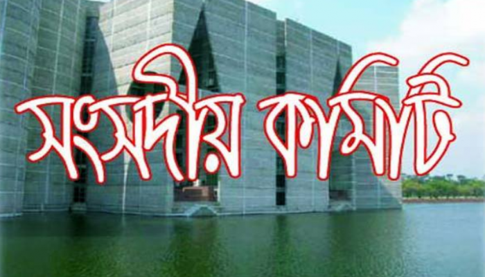পরিবারে বাল্যবিবাহের ঘটনা থাকলে ভিজিডি ভাতা নয়