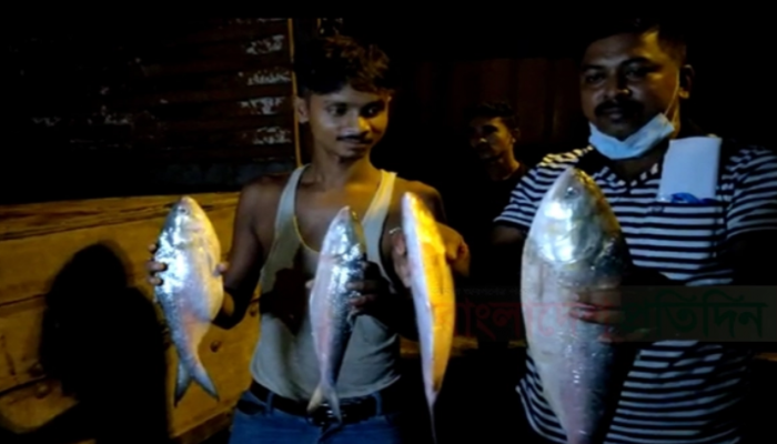 সীমান্ত পেরিয়ে বাংলাদেশ থেকে ভারতে ঢুকলো পদ্মার ইলিশ