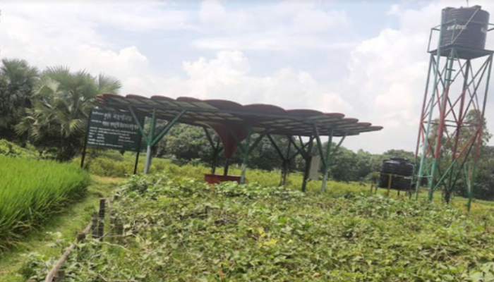 নওগাঁয় সৌরবিদ্যুৎ চালিত পাতকুয়ায় সুফল পাচ্ছে প্রান্তিক চাষীরা