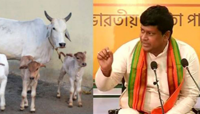 গরুর দুধে সোনা তত্ত্ব’ নিয়ে এবার যা বললেন বিজেপির পশ্চিমবঙ্গ রাজ্য সভাপতি সুকান্ত