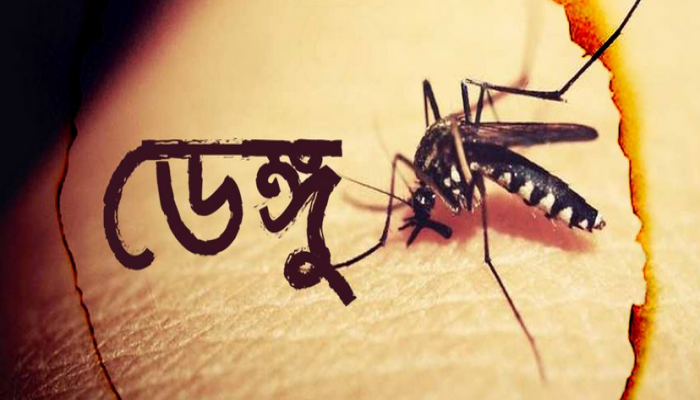 ডেঙ্গু আক্রান্ত হয়ে আরও ২৫৪ জন হাসপাতালে ভর্তি