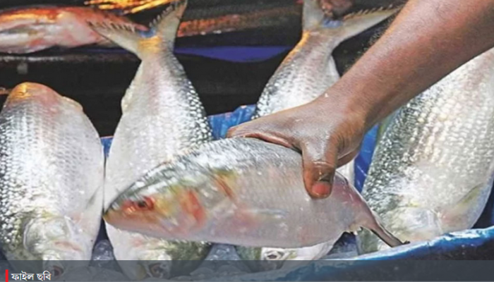 দুর্গাপূজা উপলক্ষে ২ টন ইলিশ গেল ত্রিপুরায়