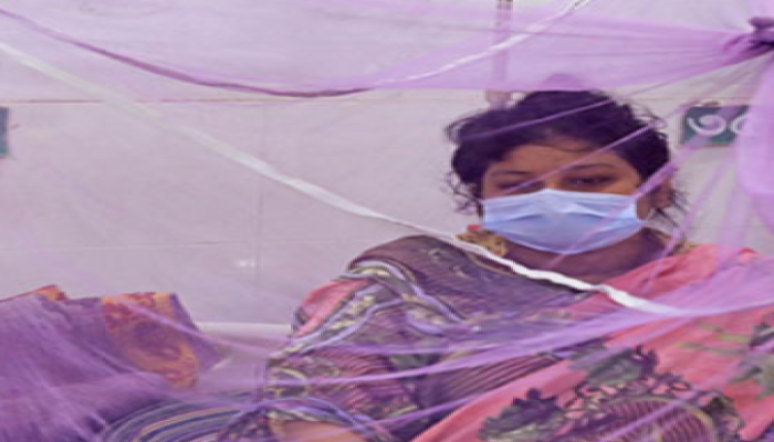 ডেঙ্গু জ্বরে আক্রান্ত হয়ে আরও ১৬৫ জন হাসপাতালে ভর্তি